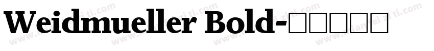 Weidmueller Bold字体转换
